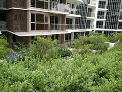 Bartley Residences (D19), Apartment #166937612